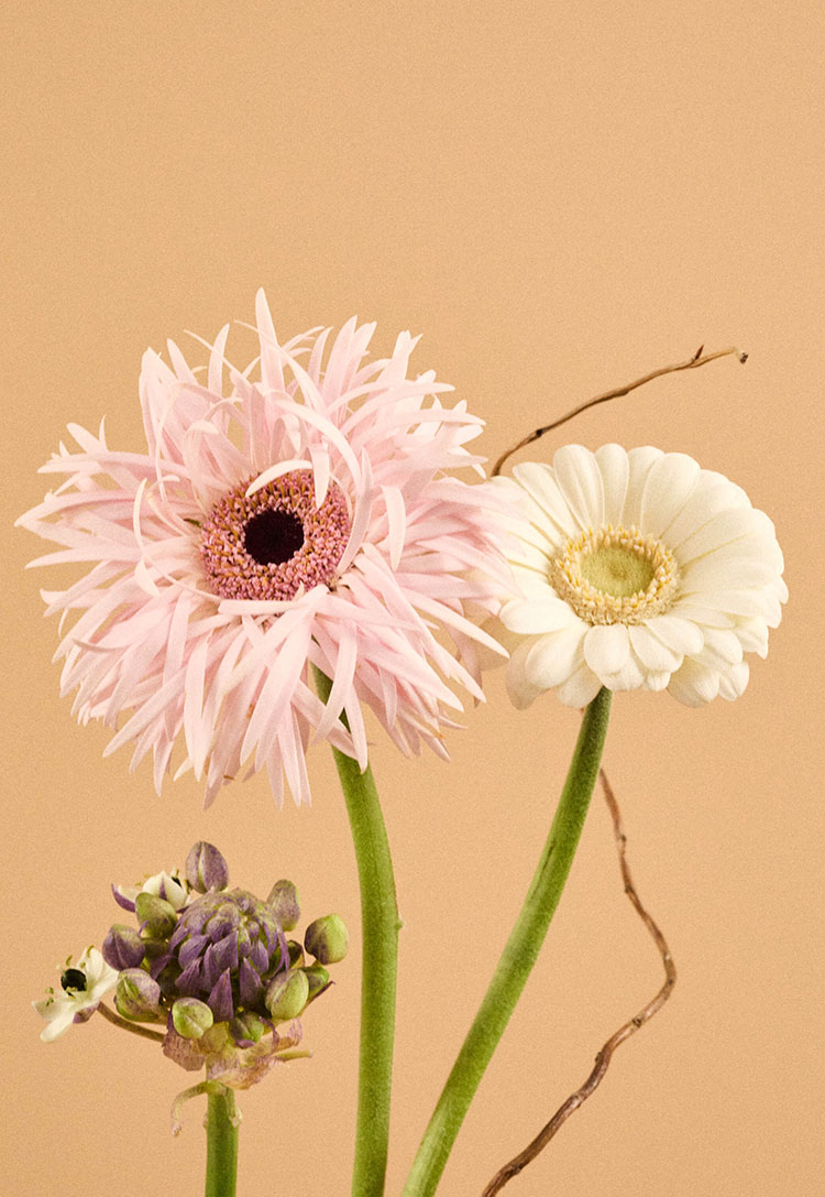 Find the perfect leather gift